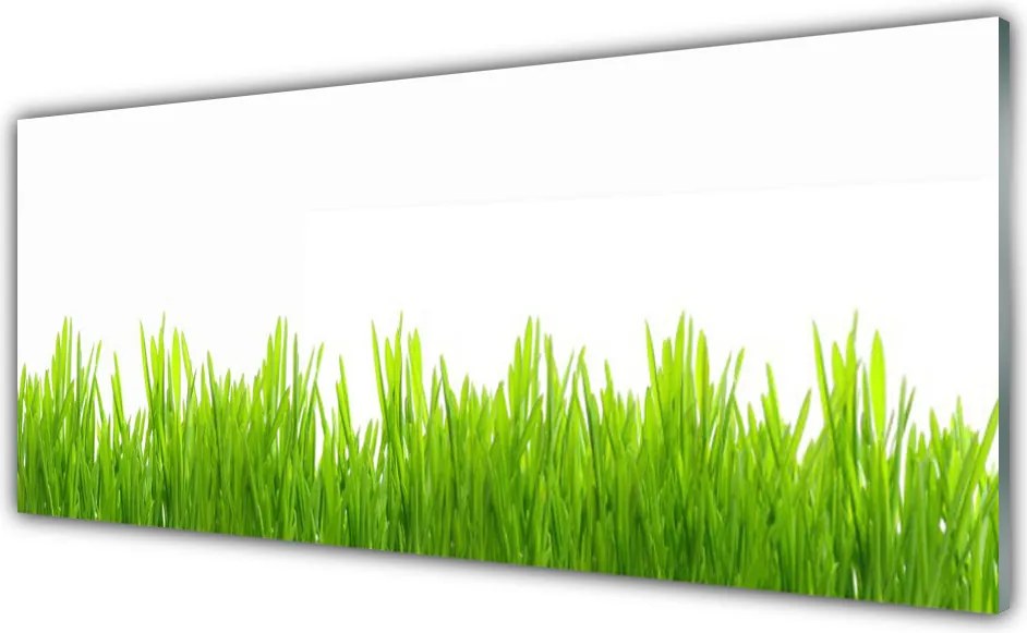 Szkło do Kuchni na Ścianę Soczysta Zieleń Polany