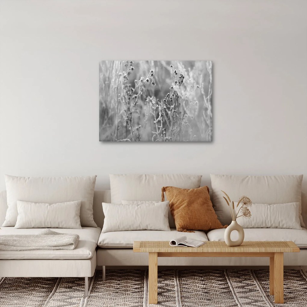 Obraz - Dzika łąka (70x50 cm)
