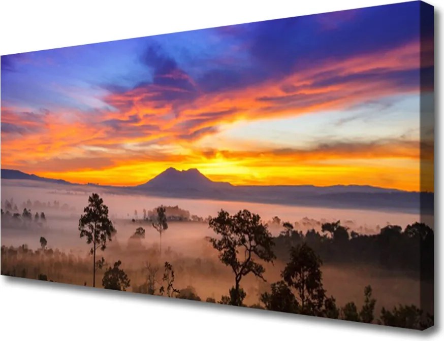 Fotoobraz na płótnie Tajemniczy Bór we Mgle