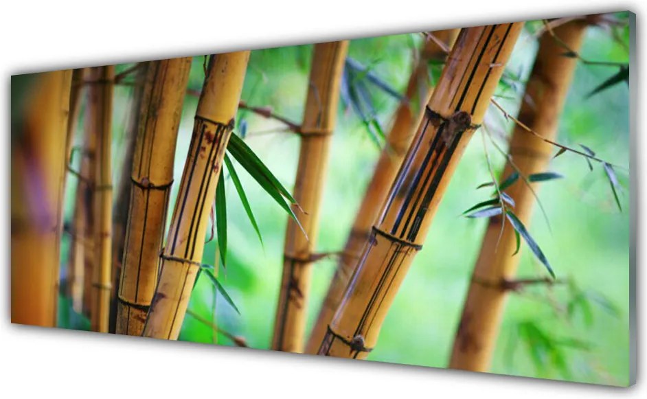 Panel nad blat kuchenny Harmonijny Akcent Bambusa