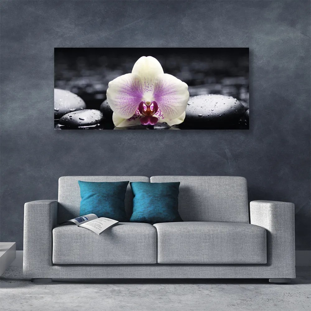 Zdjęcie na płótnie Biała Orchidea na Płótnie