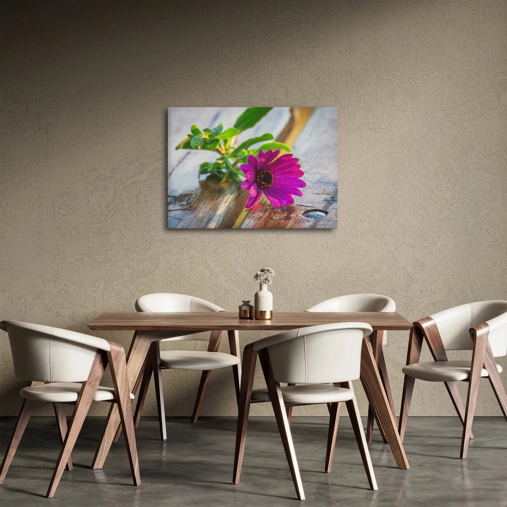 Obraz ciętego kwiatu (70x50 cm)