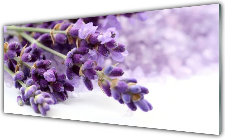 Panel Szklany Ogród Botaniczny w Pełni