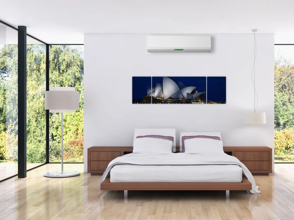 Obraz Sydney w nocy (170x50 cm)