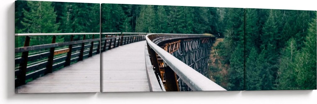 Obraz - Most do wierzchołków drzew (170x50 cm)