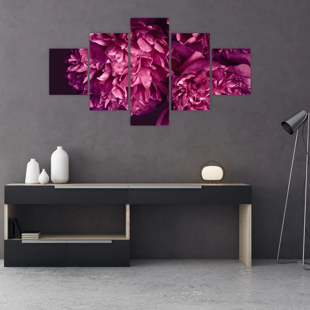 Obraz - Kwiaty piwonii (125x70 cm)