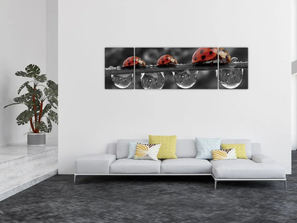 Obraz - Słonecznik, czarno-biały (170x50 cm)