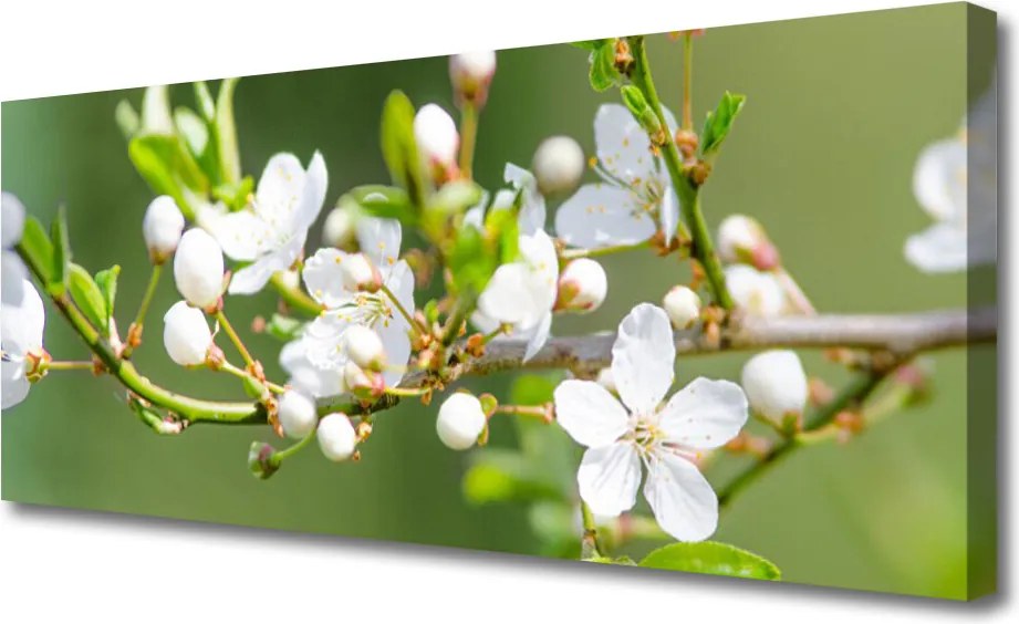Obraz drukowany na płótnie Kwitnący Sad Owocowy