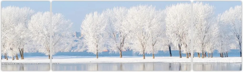 Obraz zimowego krajobrazu (170x50 cm)