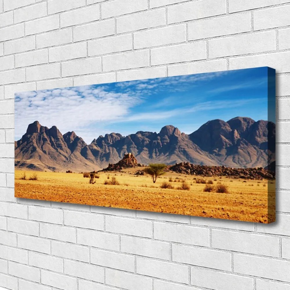 Obraz canvas Surowe Góry na Pustyni