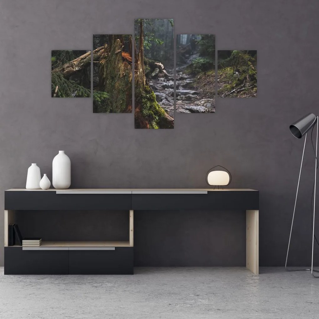 Obraz - W lesie (125x70 cm)