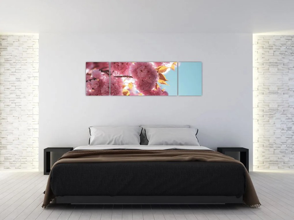 Obraz - Kwiat wiśni (170x50 cm)