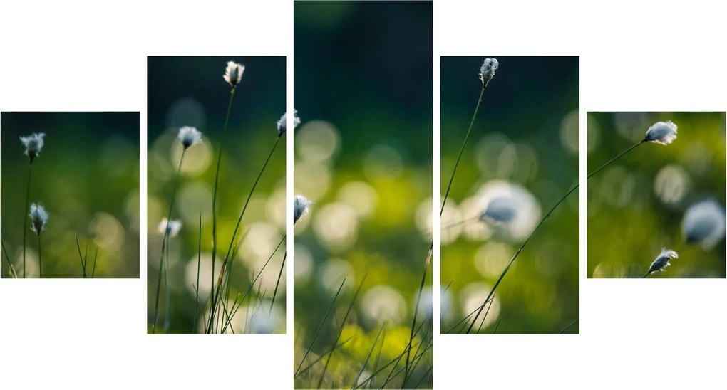Obraz - Trawa (125x70 cm)
