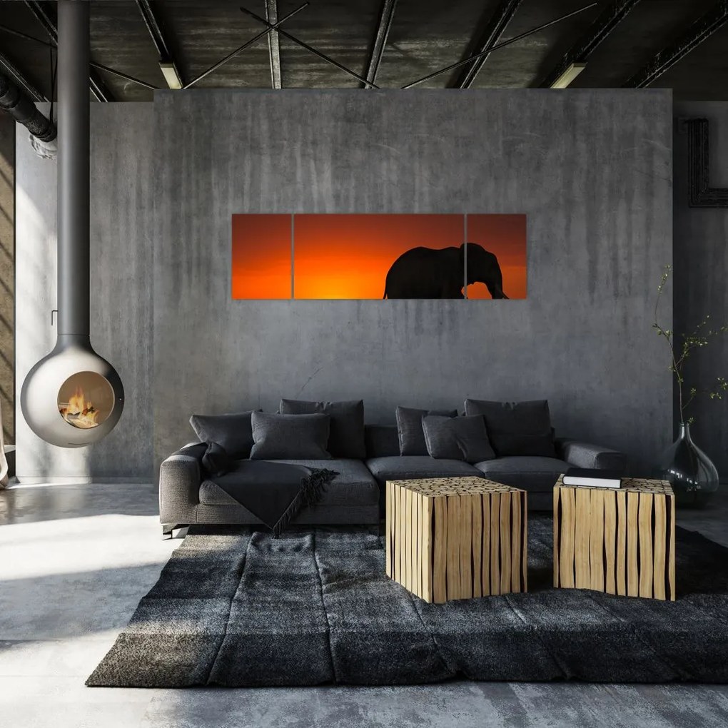 Obraz słonia o zachodzie słońca (170x50 cm)