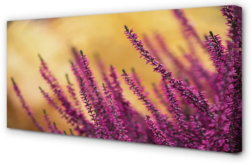 Obraz drukowany na płótnie Kwiaty