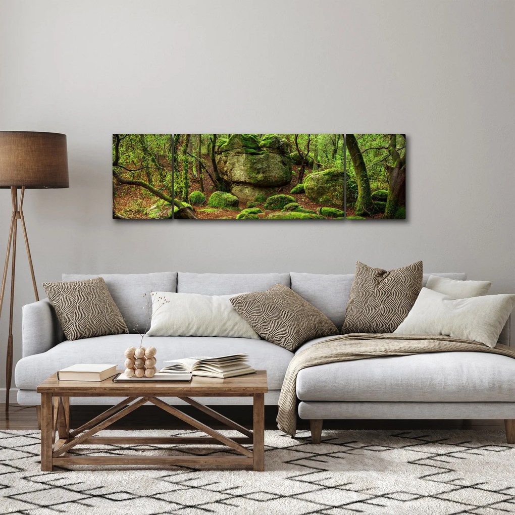 Obraz magicznego lasu (170x50 cm)