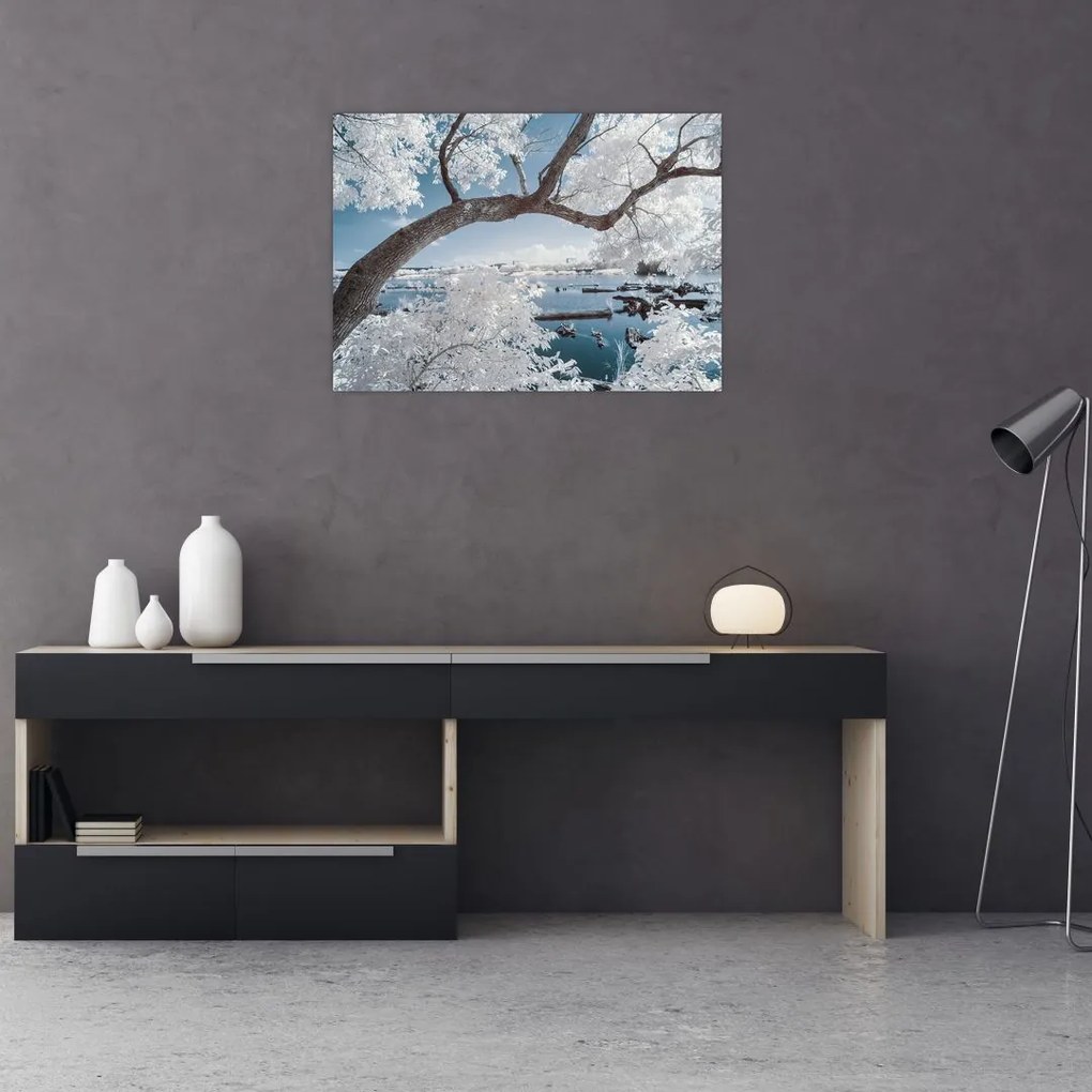 Obraz na szkle - ośnieżone drzewo nad wodą (70x50 cm)