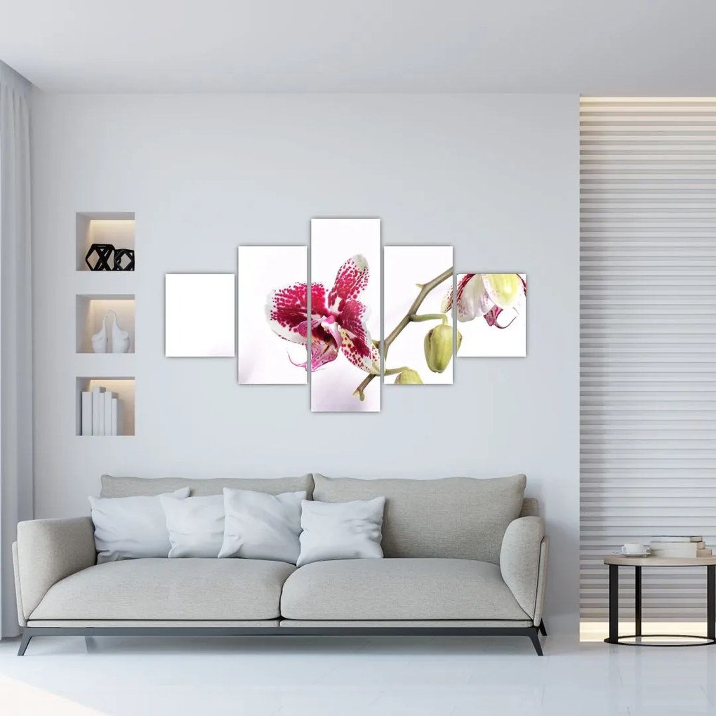 Obraz kwiatu orchidei (125x70 cm)