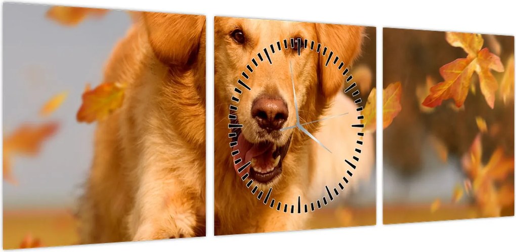 Obraz - Golden Retriever (z zegarem) (90x30 cm)