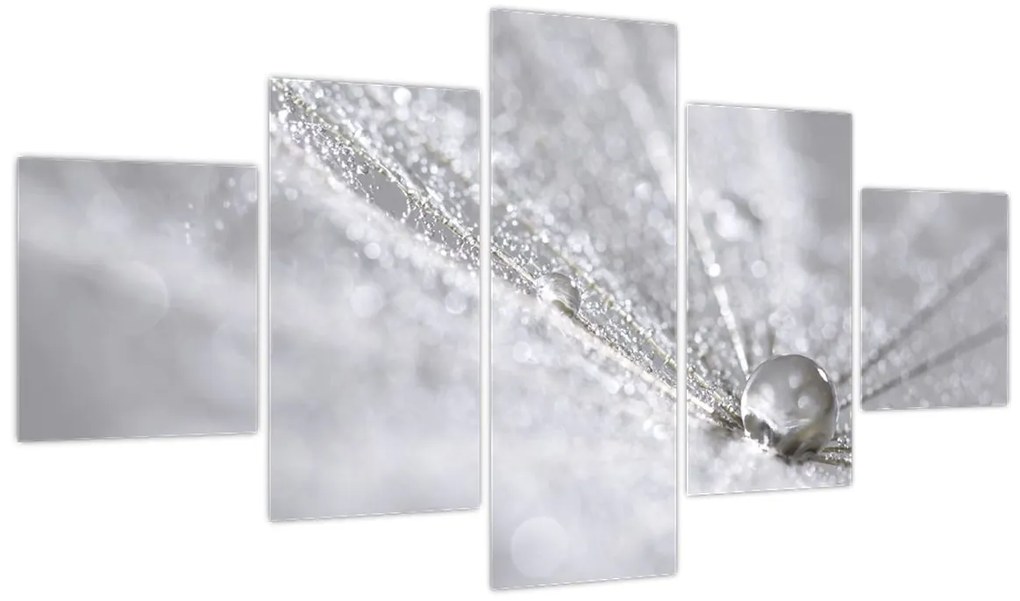 Obraz - Kropla wody (125x70 cm)