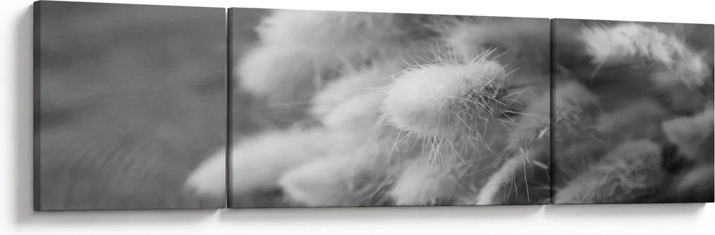 Obraz - trawa z króliczym ogonkiem na stole (170x50 cm)