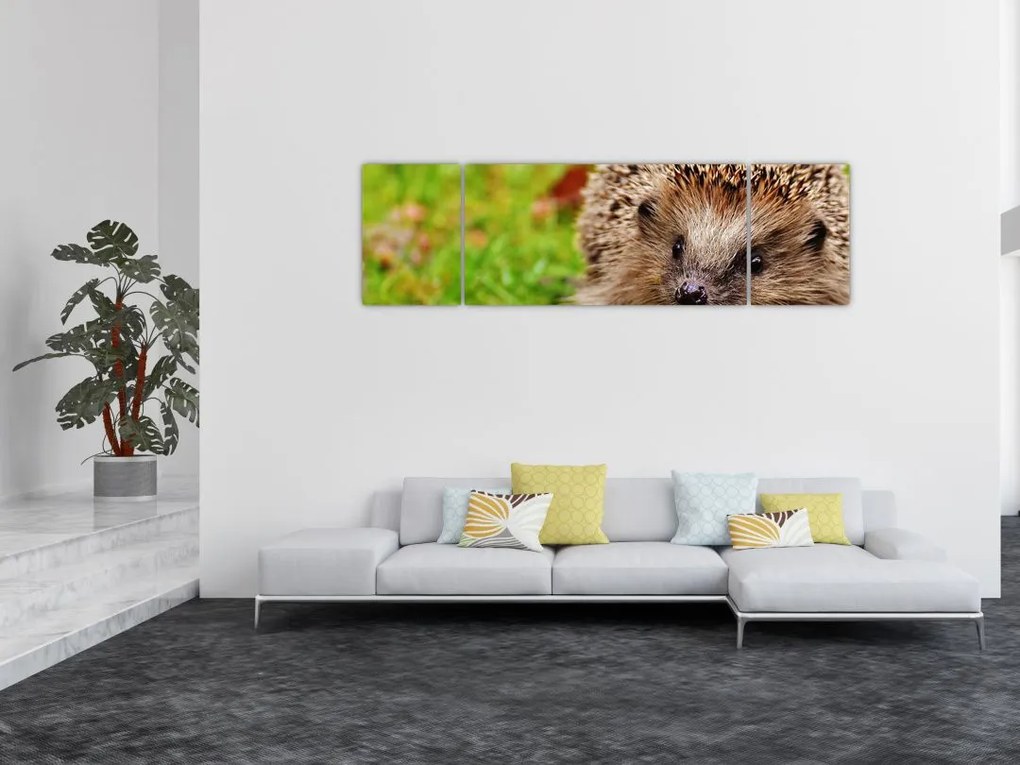 Obraz jeża (170x50 cm)