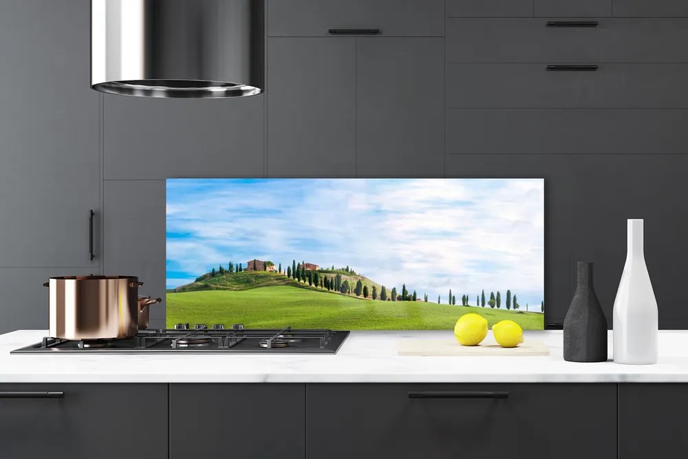 Panel nad blat kuchenny Samotne Drzewo na Polanie