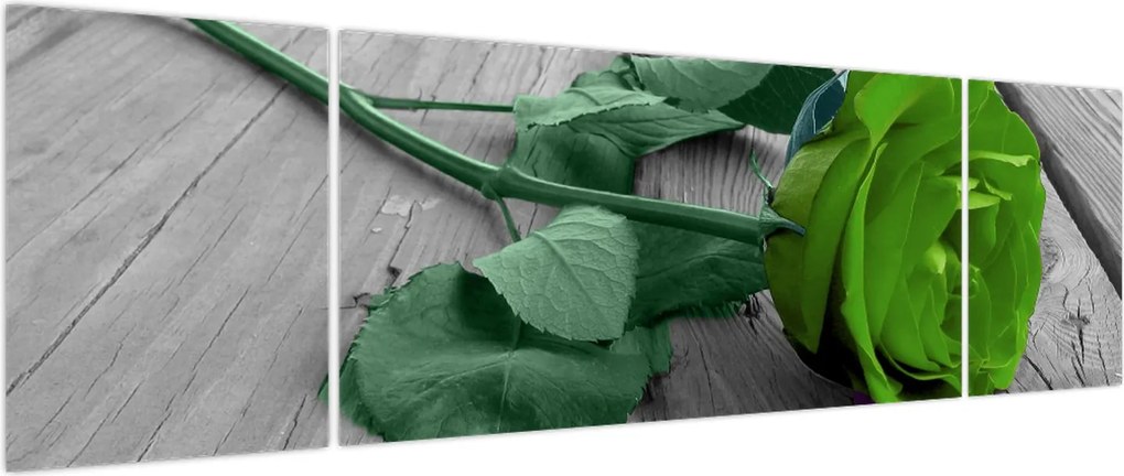 Obraz - Zielona róża (170x50 cm)