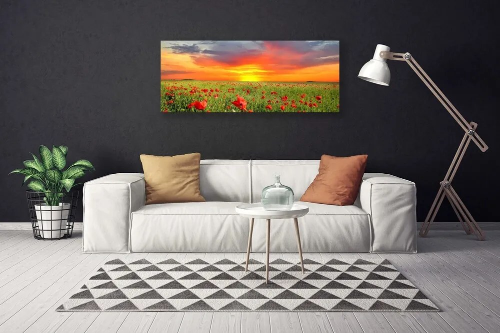 Obraz canvas Maki w Blasku Słońca