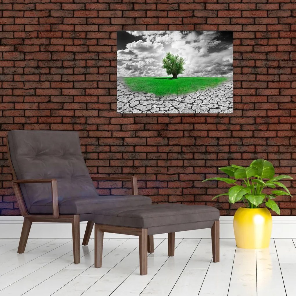 Obraz na szkle - Kawałek natury w mieście (70x50 cm)