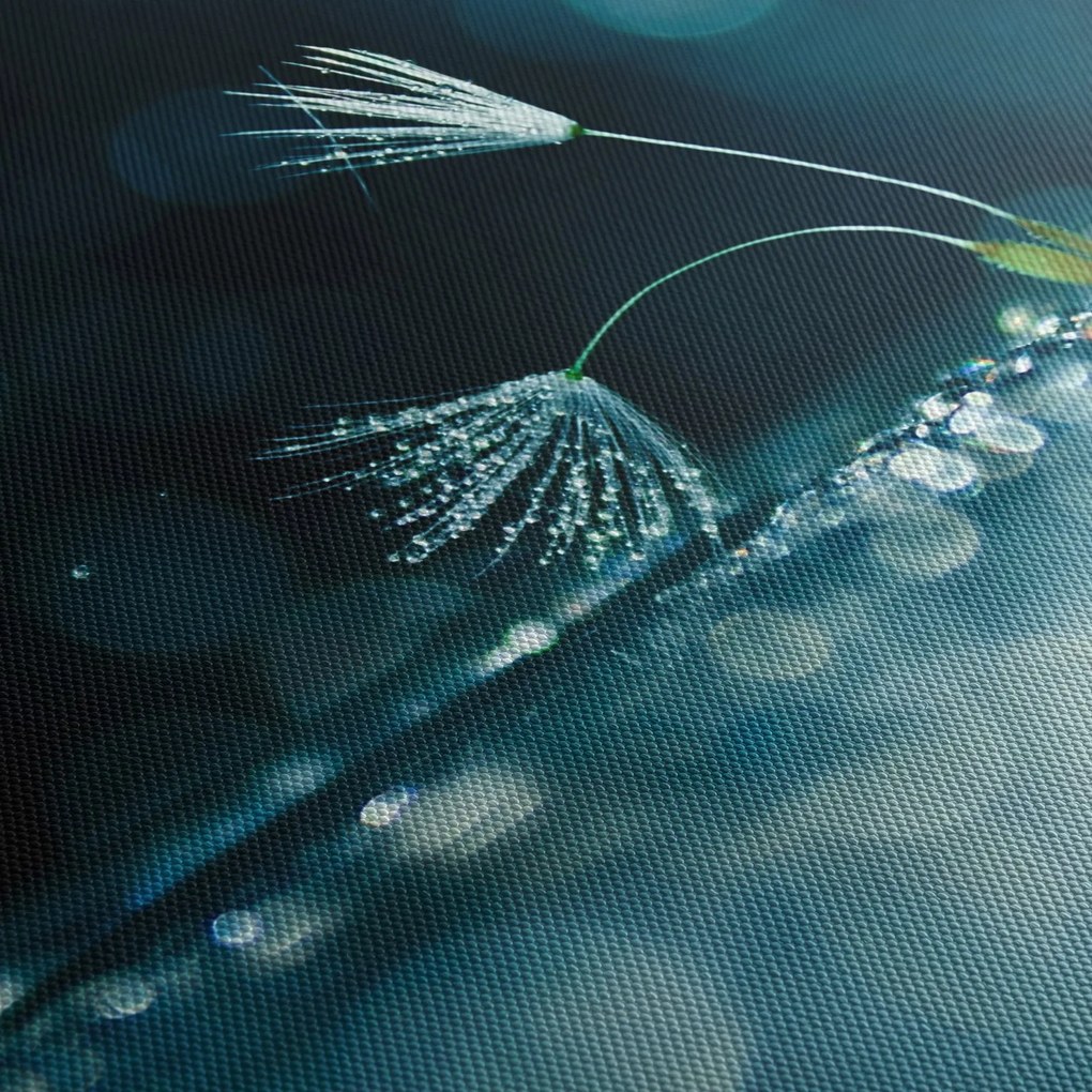 Obraz - Makro (170x50 cm)