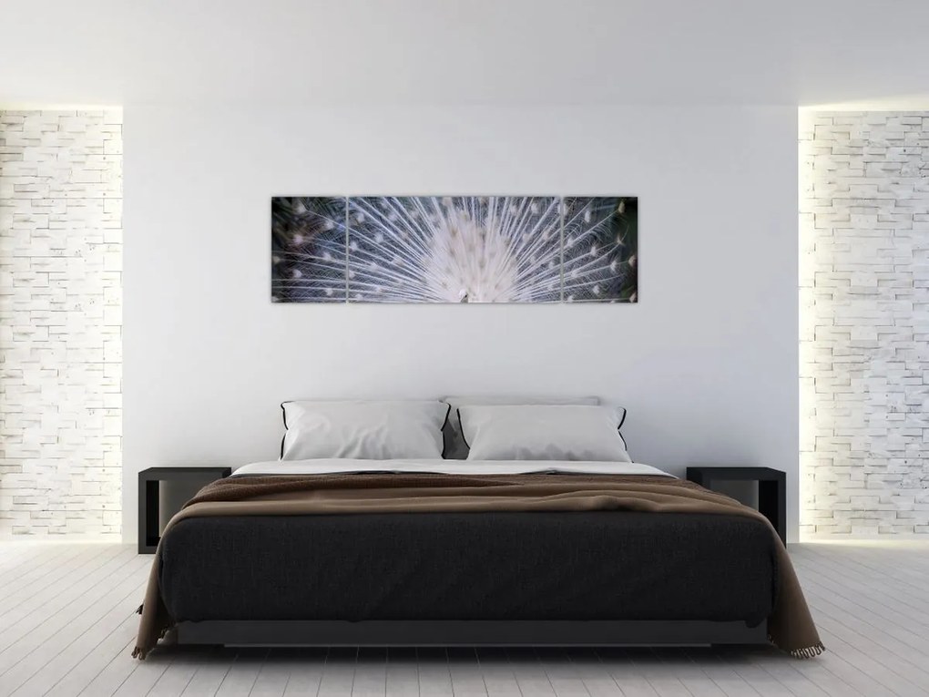 Obraz - Biały paw (170x50 cm)