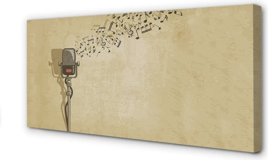 Zdjęcie na płótnie Wokalna Ekspresja Muzyczna