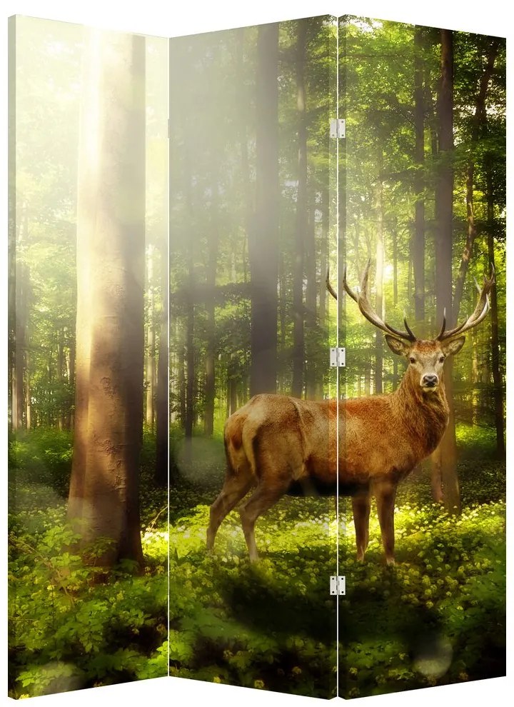 Parawan - Jeleń w lesie (126x170 cm)