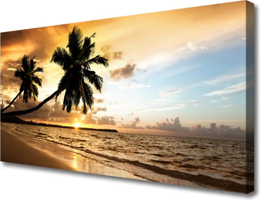 Fotoobraz na płótnie Tropikalne Wybrzeże z Palmą