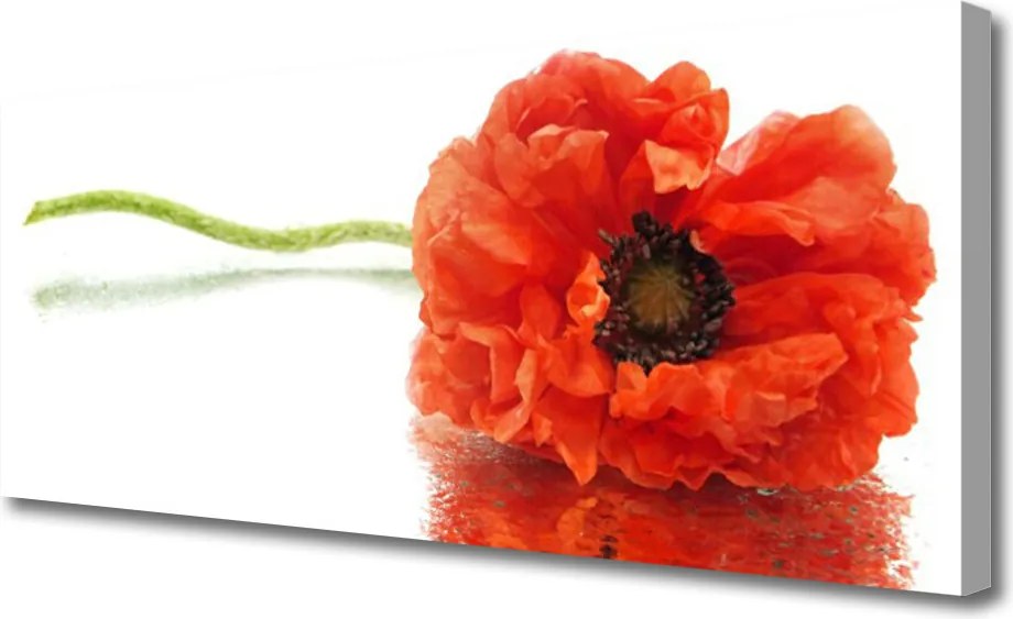 Obraz canvas Naturalny Bukiet Botaniczny