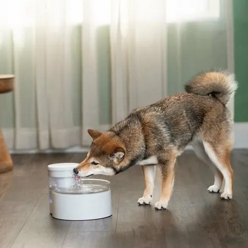 PetSafe® Outlast™ Fontanna 1,7 litra