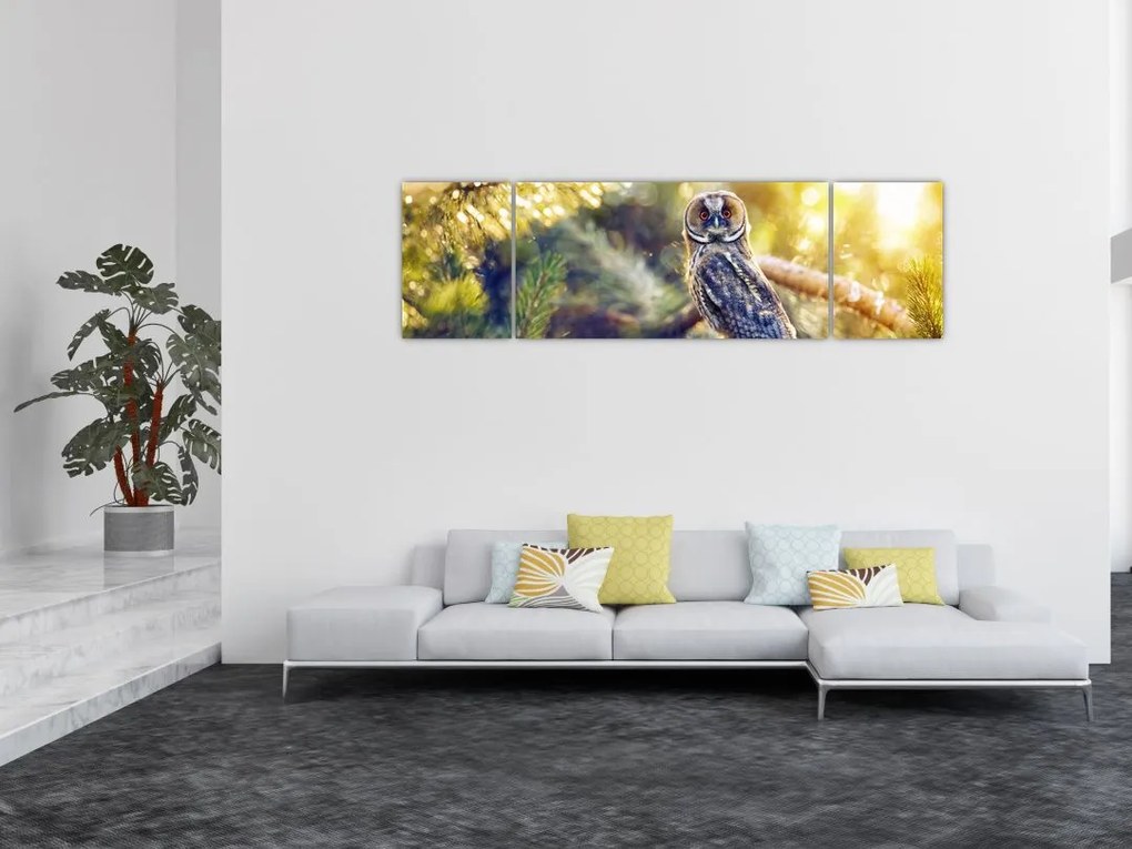Obraz sowy na drzewie (170x50 cm)