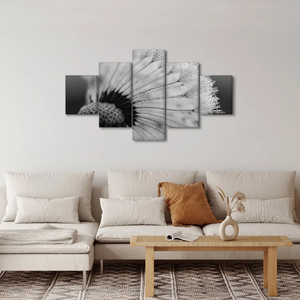 Obraz dmuchawca, czarno - biały (125x70 cm)