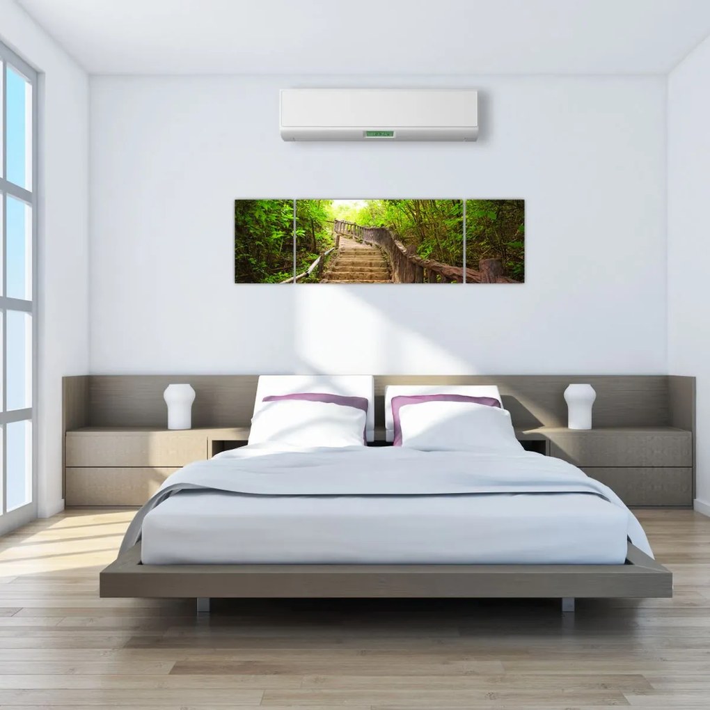 Obraz - Schody w przyrodzie (170x50 cm)