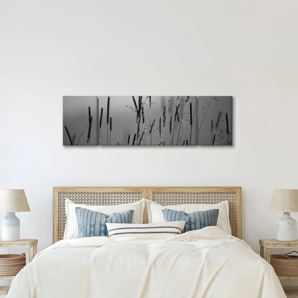 Obraz - źdźbła trawy (170x50 cm)