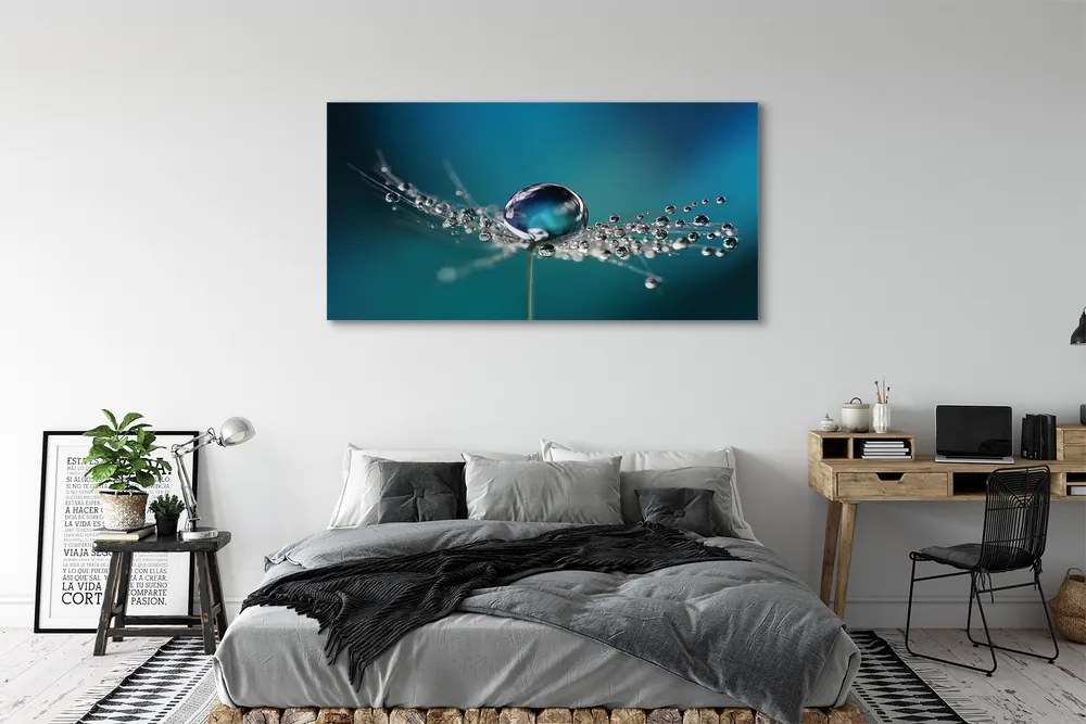 Obraz canvas na ścianę Makro Dmuchawca z Rosą