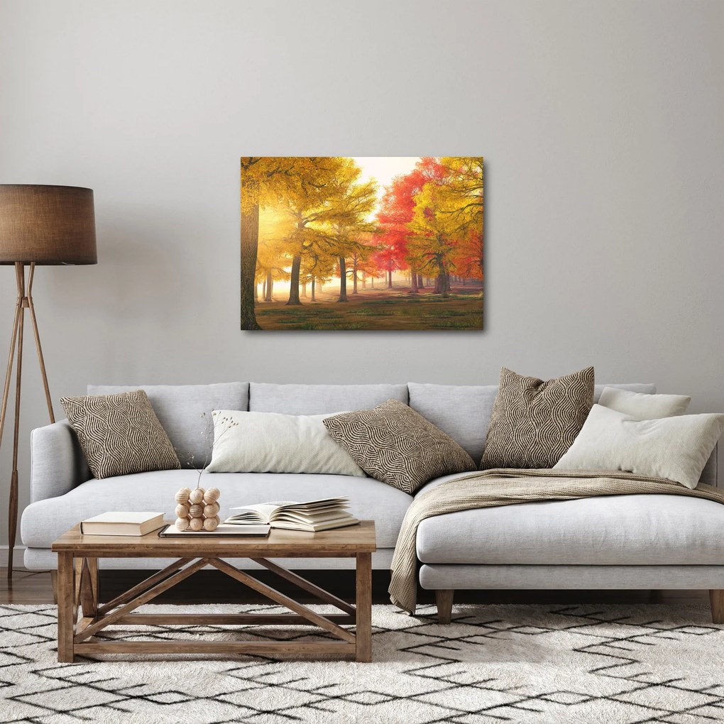 Obraz jesiennych drzew (70x50 cm)