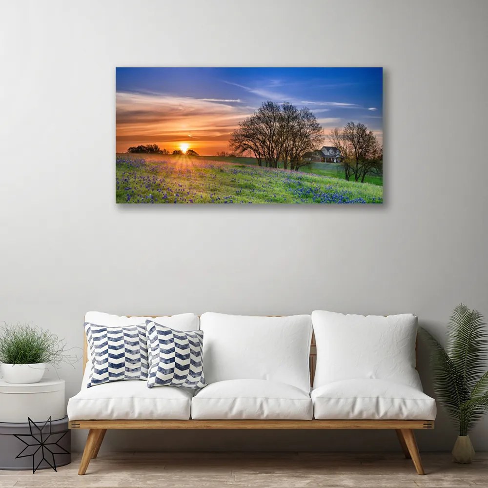 Obraz Canvas Łąka Słońce Krajobraz