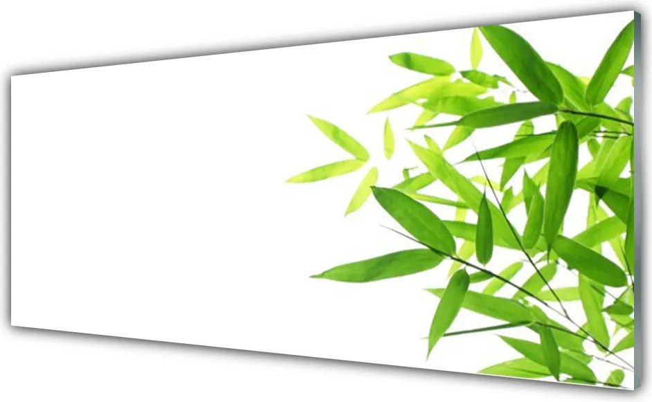 Panel Kuchenny Tekstura Zielonego Liścia