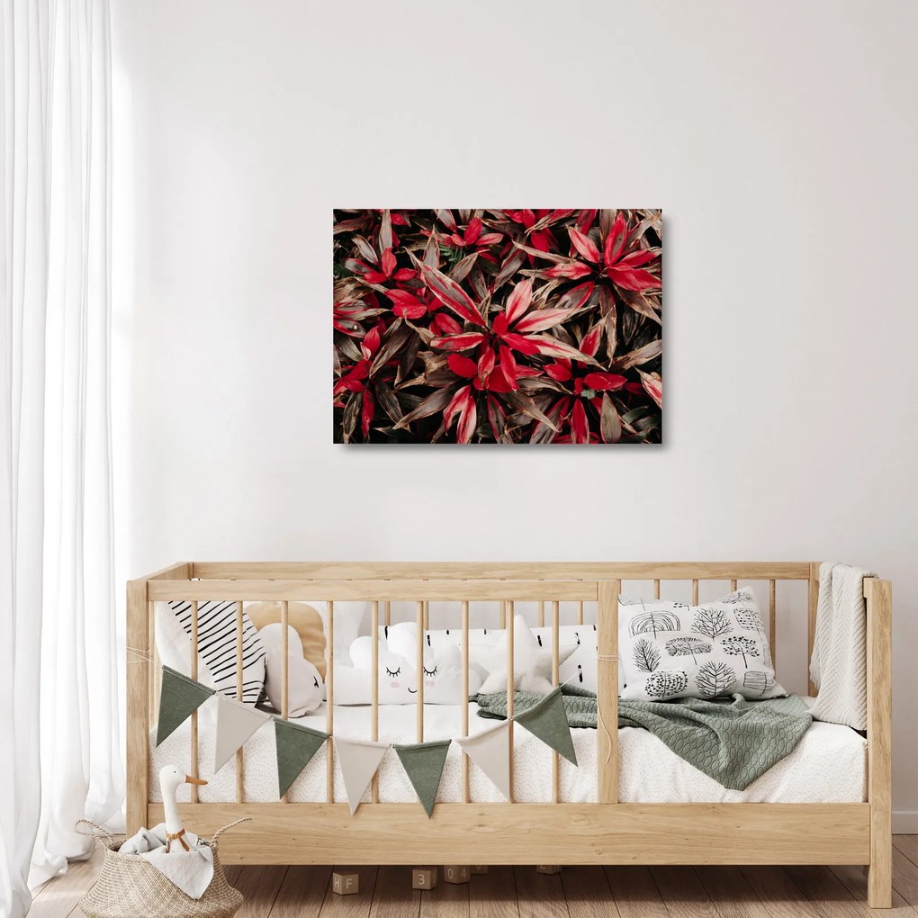 Obraz na szkle czerwonych płatków (70x50 cm)