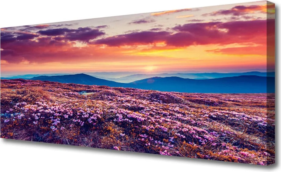 Obraz na płótnie Kwiatowy Dywan u Stóp Gór