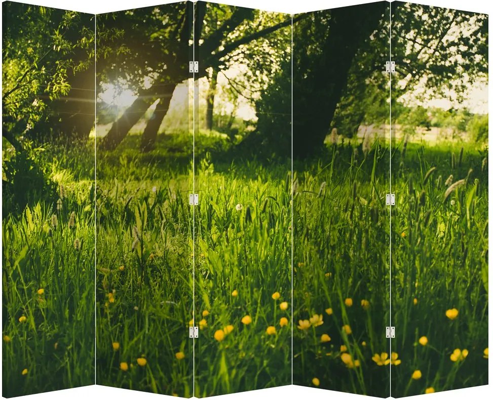 Parawan - Łąka (210x170 cm)