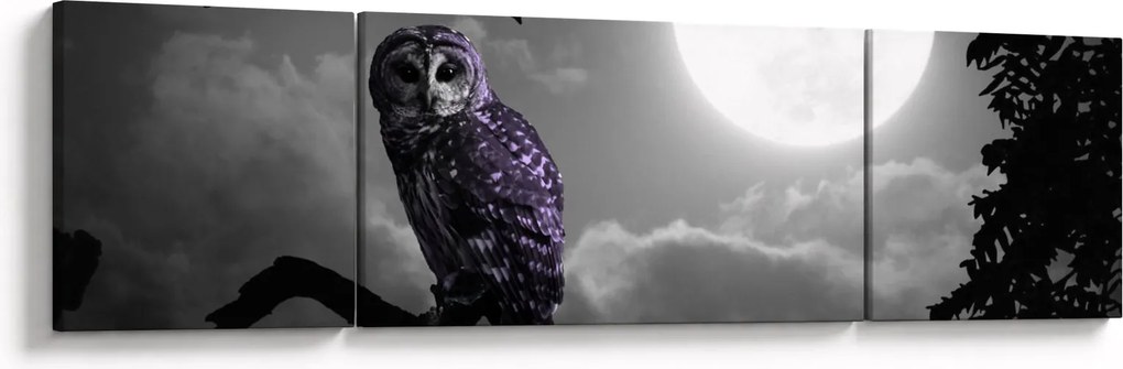 Obraz - Nocna sowa, fioletowa sowa (170x50 cm)