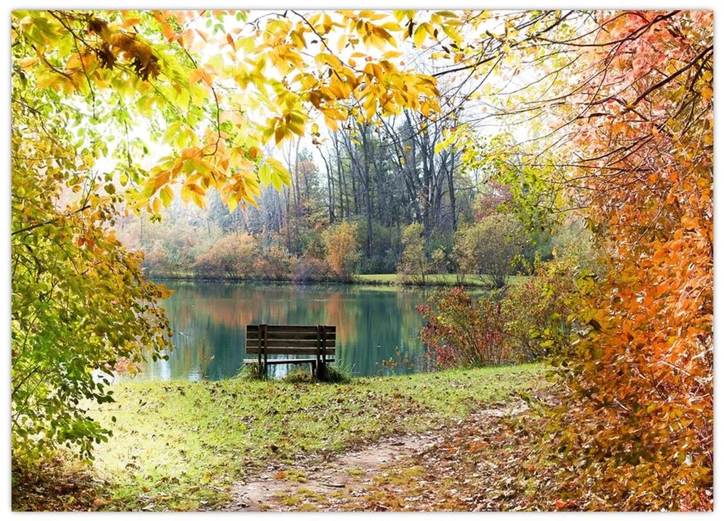 Obraz na szkle - staw (70x50 cm)